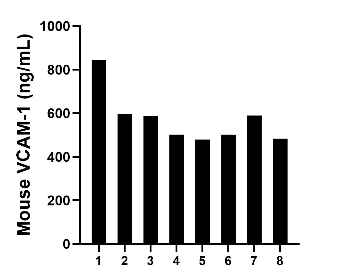 Serum of eight mice was measured. The VCAM-1 concentration of detected samples was determined to be 572.76 ng/mL with a range of 483.18-844.96 ng/mL.